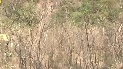 Isha Bhabhi JUNGLE DATE