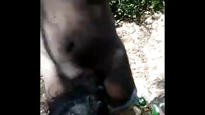 gay indian drinking beer and sucking cock